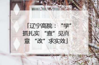 辽宁高院：“学”抓扎实 “查”见真章 “改”求实效