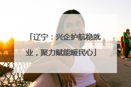 辽宁：兴企护航稳就业，聚力赋能暖民心