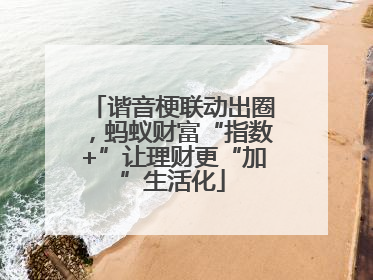 谐音梗联动出圈，蚂蚁财富“指数+”让理财更“加”生活化