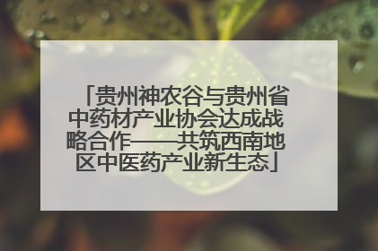 贵州神农谷与贵州省中药材产业协会达成战略合作——共筑西南地区中医药产业新生态