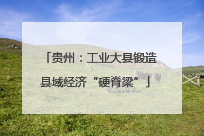 贵州：工业大县锻造县域经济“硬脊梁”