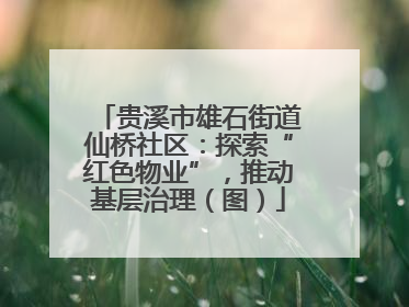 贵溪市雄石街道仙桥社区：探索“红色物业”，推动基层治理（图）