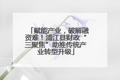 赋能产业，破解融资难！浦江县财政“三聚焦”助推传统产业转型升级