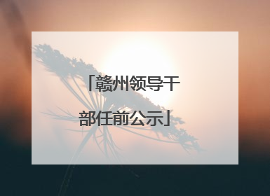 赣州领导干部任前公示