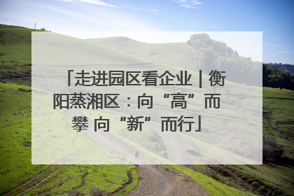 走进园区看企业｜衡阳蒸湘区：向“高”而攀 向“新”而行