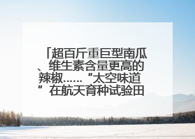超百斤重巨型南瓜、维生素含量更高的辣椒……“太空味道”在航天育种试验田里拔节生长