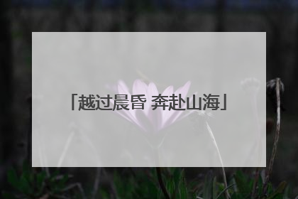 越过晨昏 奔赴山海