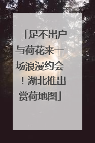 足不出户与荷花来一场浪漫约会！湖北推出赏荷地图
