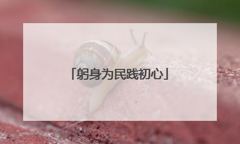 躬身为民践初心