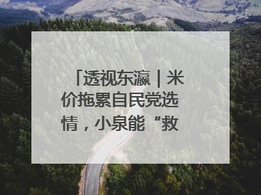 透视东瀛｜米价拖累自民党选情，小泉能“救”石破茂吗