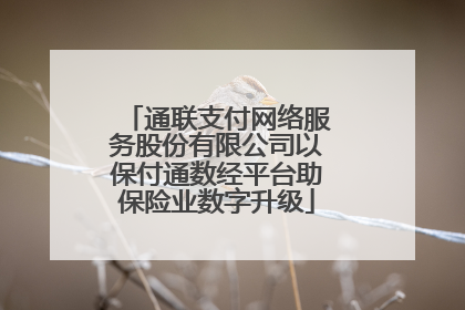 通联支付网络服务股份有限公司以保付通数经平台助保险业数字升级