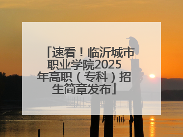 速看！临沂城市职业学院2025年高职（专科）招生简章发布
