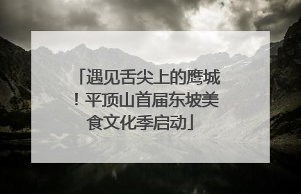 遇见舌尖上的鹰城！平顶山首届东坡美食文化季启动