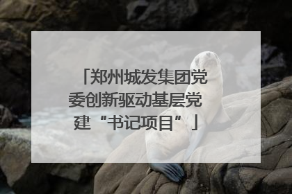 郑州城发集团党委创新驱动基层党建“书记项目”
