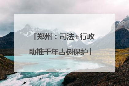 郑州：司法+行政助推千年古树保护