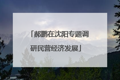 郝鹏在沈阳专题调研民营经济发展