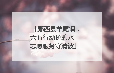 郧西县羊尾镇：六五行动护碧水 志愿服务守清波