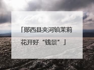 郧西县夹河镇茉莉花开好“钱景”