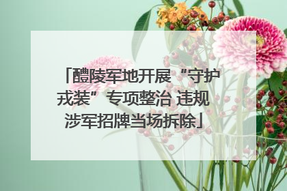 醴陵军地开展“守护戎装”专项整治 违规涉军招牌当场拆除