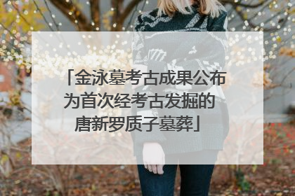 金泳墓考古成果公布 为首次经考古发掘的唐新罗质子墓葬