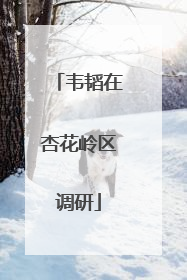 韦韬在杏花岭区调研