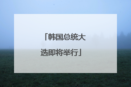 韩国总统大选即将举行