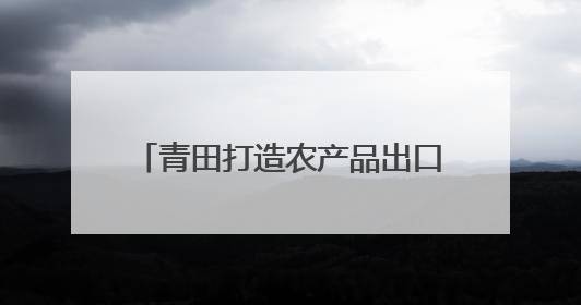 青田打造农产品出口展销平台 以侨为桥，浙农优品越洋出海