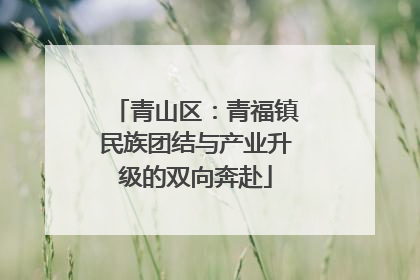 青山区：青福镇民族团结与产业升级的双向奔赴