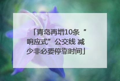 青岛再增10条“响应式”公交线 减少非必要停靠时间