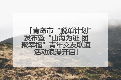 青岛市“脱单计划”发布暨“山海为证 团聚幸福”青年交友联谊活动浪漫开启