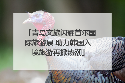 青岛文旅闪耀首尔国际旅游展 助力韩国入境旅游再掀热潮