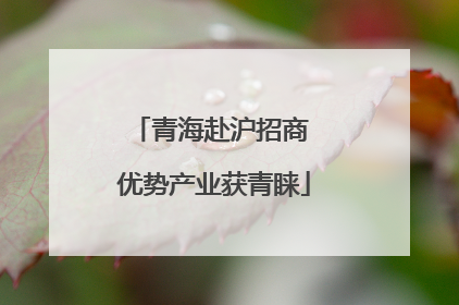 青海赴沪招商 优势产业获青睐