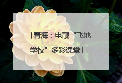 青海：电靓“飞地学校”多彩课堂