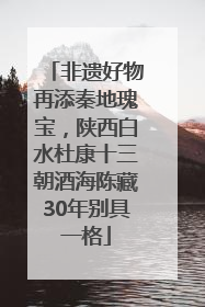 非遗好物再添秦地瑰宝，陕西白水杜康十三朝酒海陈藏30年别具一格