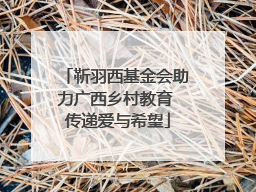 靳羽西基金会助力广西乡村教育 传递爱与希望