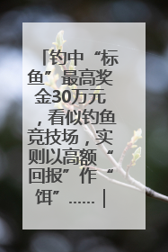钓中“标鱼”最高奖金30万元，看似钓鱼竞技场，实则以高额“回报”作“饵”……｜今晚九点半