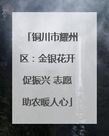 铜川市耀州区：金银花开促振兴 志愿助农暖人心