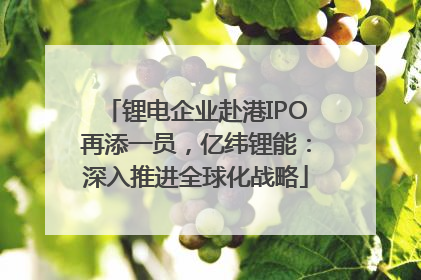 锂电企业赴港IPO再添一员，亿纬锂能：深入推进全球化战略