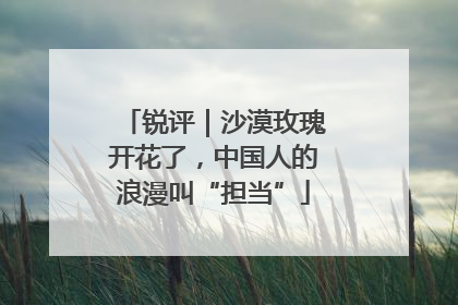 锐评｜沙漠玫瑰开花了，中国人的浪漫叫“担当”