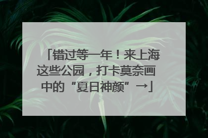 错过等一年！来上海这些公园，打卡莫奈画中的“夏日神颜”→