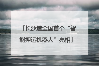 长沙造全国首个“智能押运机器人”亮相