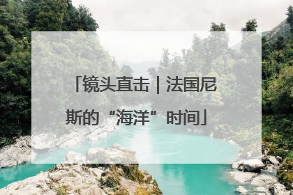 镜头直击｜法国尼斯的“海洋”时间
