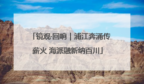 镜观·回响｜浦江奔涌传薪火 海派融新纳百川