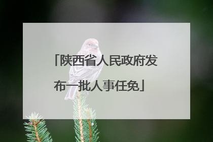 陕西省人民政府发布一批人事任免
