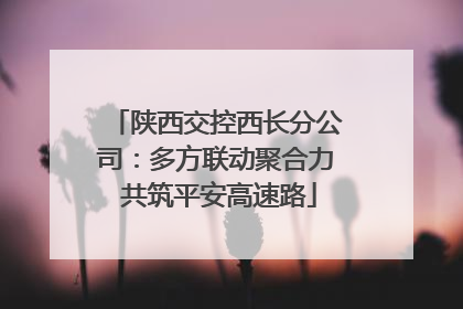 陕西交控西长分公司：多方联动聚合力 共筑平安高速路