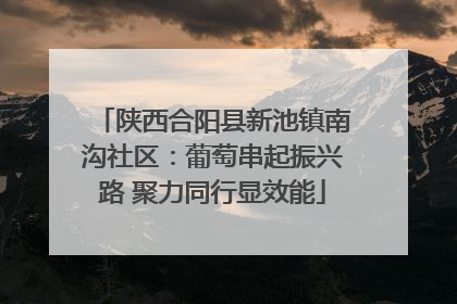 陕西合阳县新池镇南沟社区：葡萄串起振兴路 聚力同行显效能