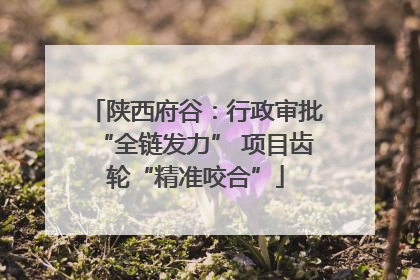 陕西府谷：行政审批“全链发力” 项目齿轮“精准咬合”
