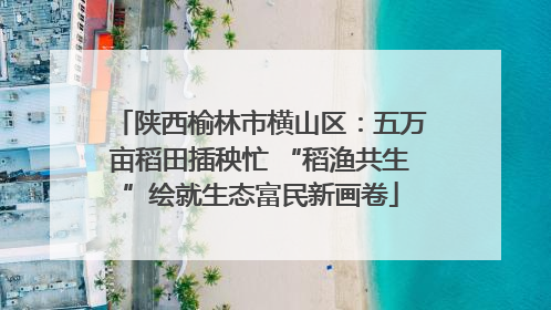 陕西榆林市横山区：五万亩稻田插秧忙 “稻渔共生”绘就生态富民新画卷