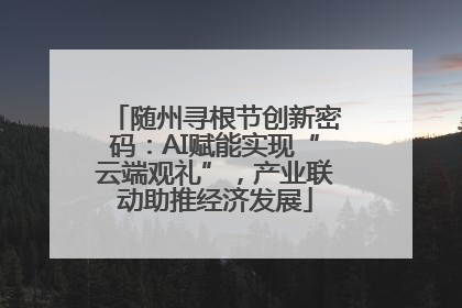 随州寻根节创新密码：AI赋能实现“云端观礼”，产业联动助推经济发展