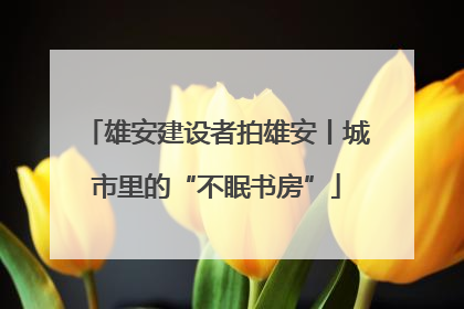 雄安建设者拍雄安丨城市里的“不眠书房”